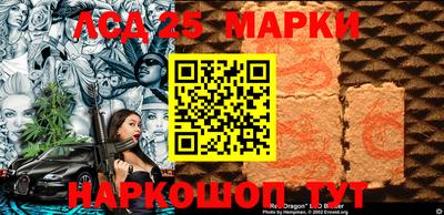 крисы Кулебаки