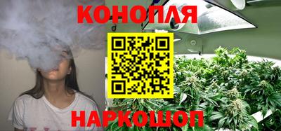 крисы Кулебаки