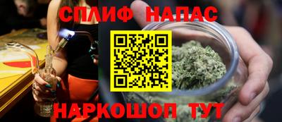крисы Кулебаки
