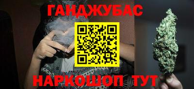 крисы Кулебаки