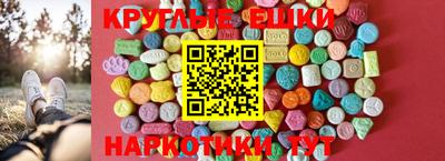 крисы Кулебаки