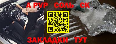 крисы Кулебаки