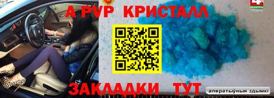 крисы Кулебаки