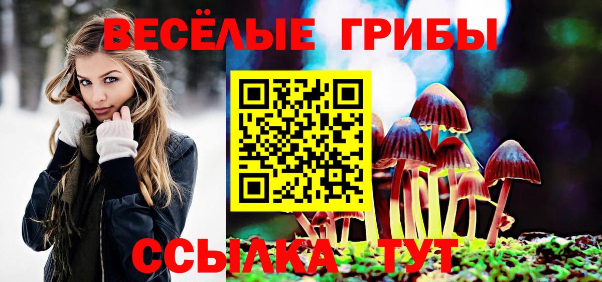 Галлюциногенные грибы MAGIC MUSHROOMS  Вход с VPN  Жуковский 